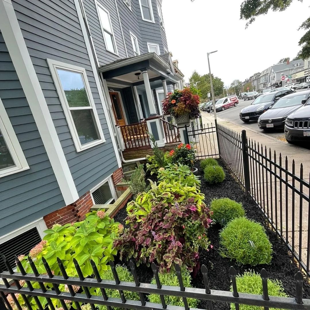 Shrub Trimming for Zammito Landscape Construction in Dorchester, MA
