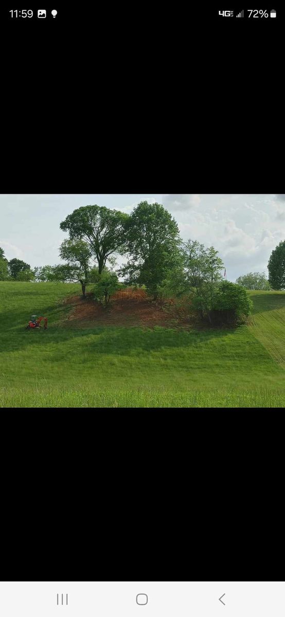 Land clearing for M&L Lumber and Excavating in Jonesborough, TN