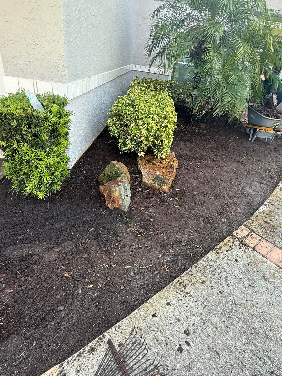 Mulch Installation for Greens Landscaping in Clearwater, FL
