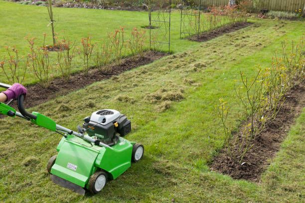 Lawn Dethatching Services for New Beginning Landscape & Remodel LLC in Atlanta, GA
