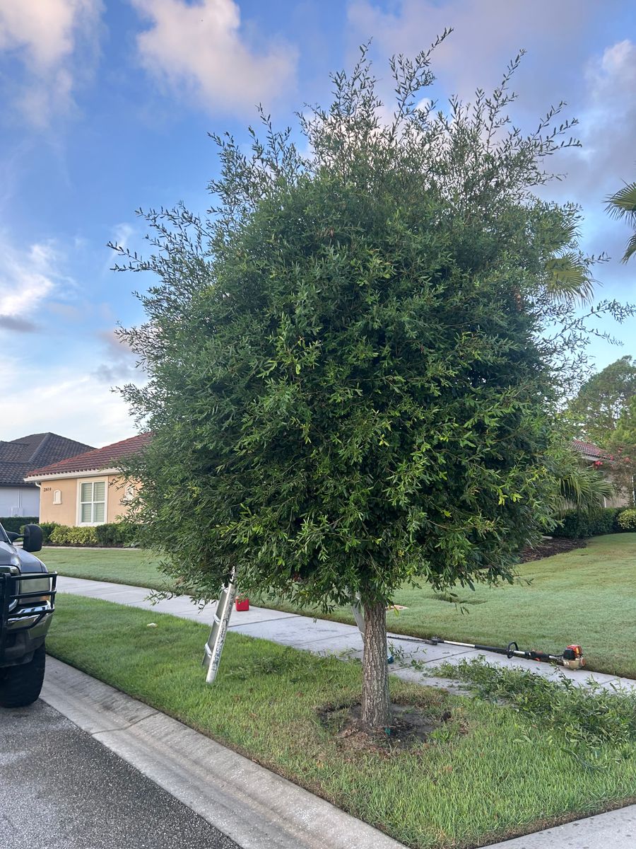 Landscape Projects for Aside from the Rest in Port Orange, FL