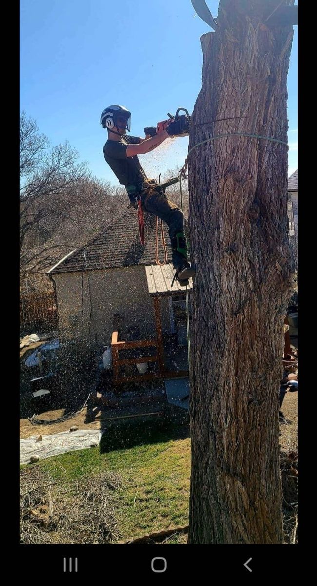 Tree Trimming for SMH Tree Service in Atwood, KS