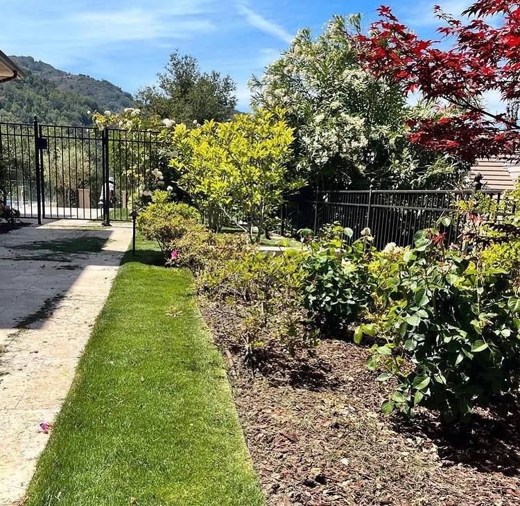 Landscaping for RHS in San Jose, CA