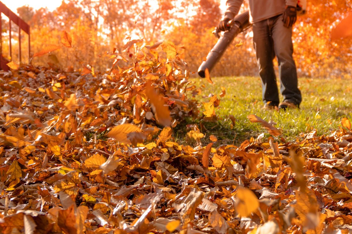 Fall Clean Up for Cutting Edge Lawn Care in Fayetteville, NC