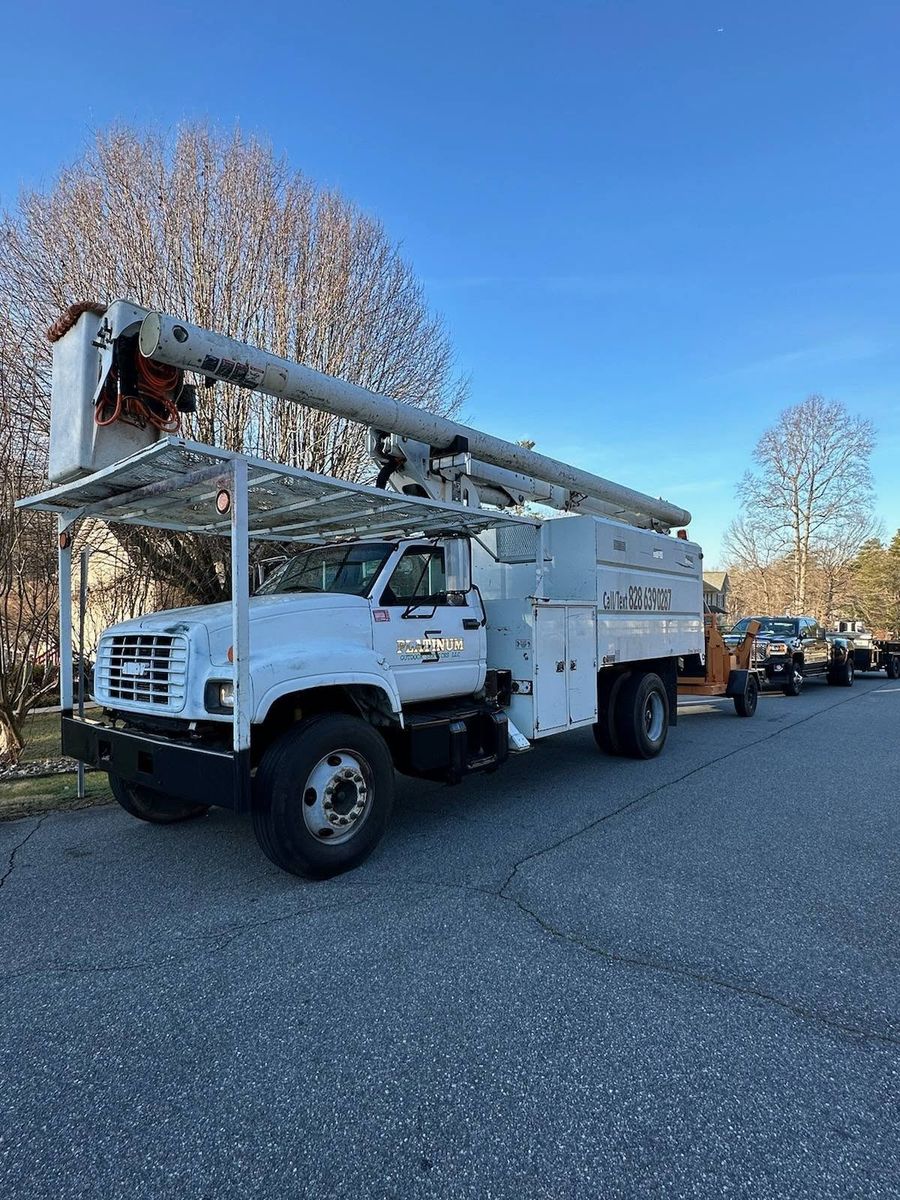 Tree Service for Platinum Outdoor Services LLC in Conover, NC