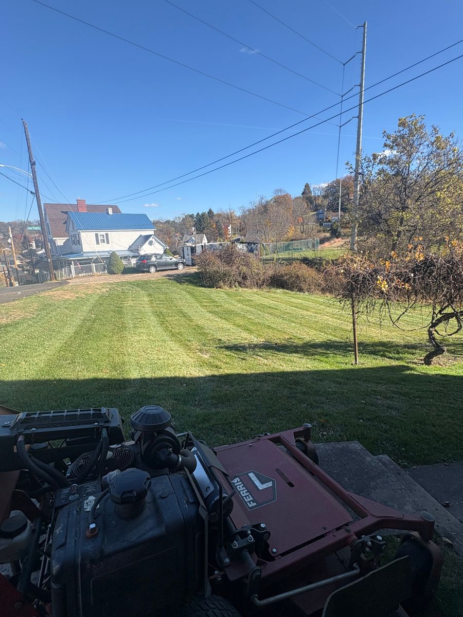 Spring & Fall Clean Up for Cam Yardz in Washington, PA