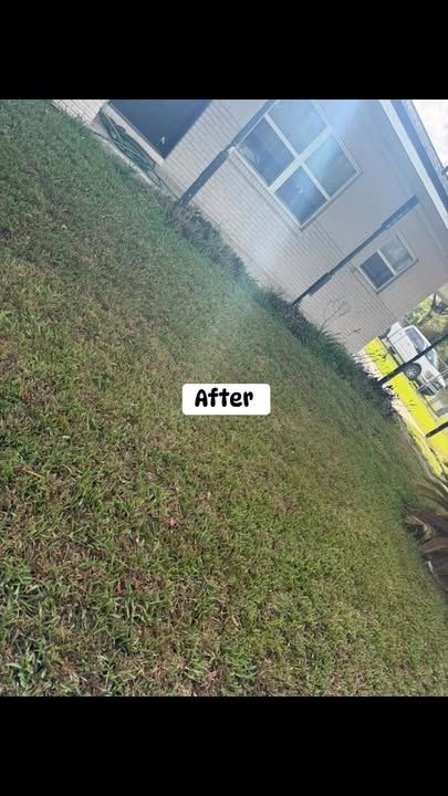 Lawn Maintenance for The Yardman in Tampa, FL