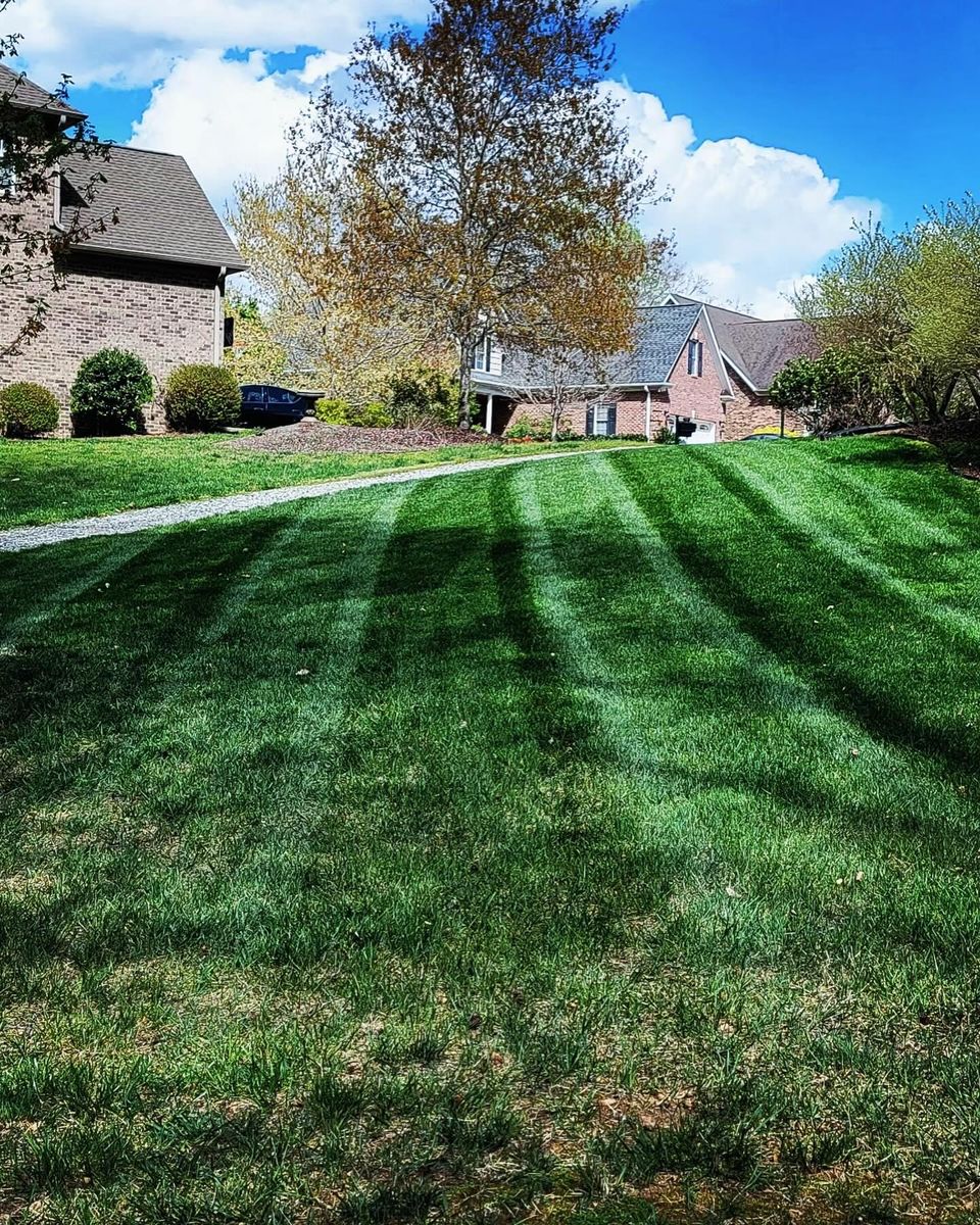 Aeration for Piedmont Lawn and Landscaping in Lexington, NC