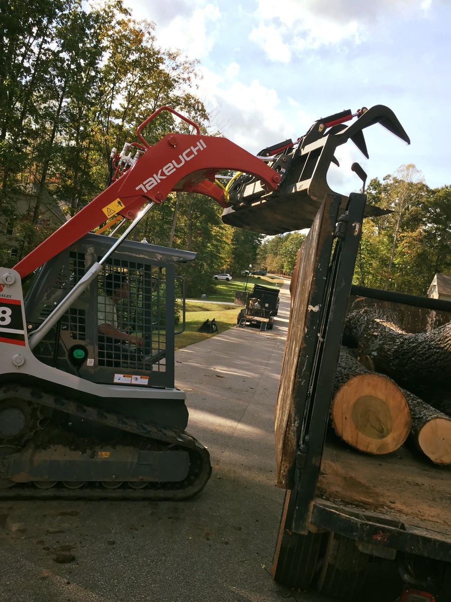 Tree Removal  for Lively Landscaping LLC - NC in Franklinton, North Carolina