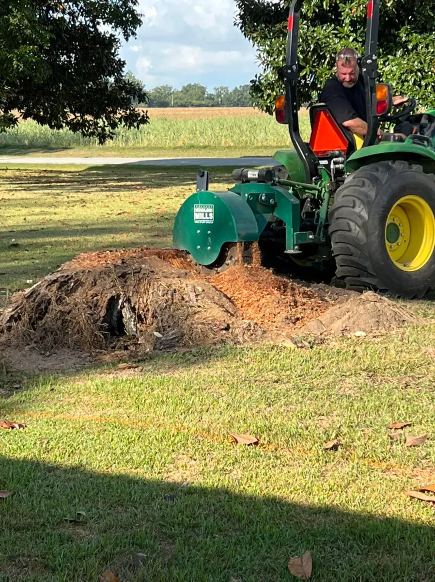 Stump Grinding for Southern Venom Services in Daphne, AL