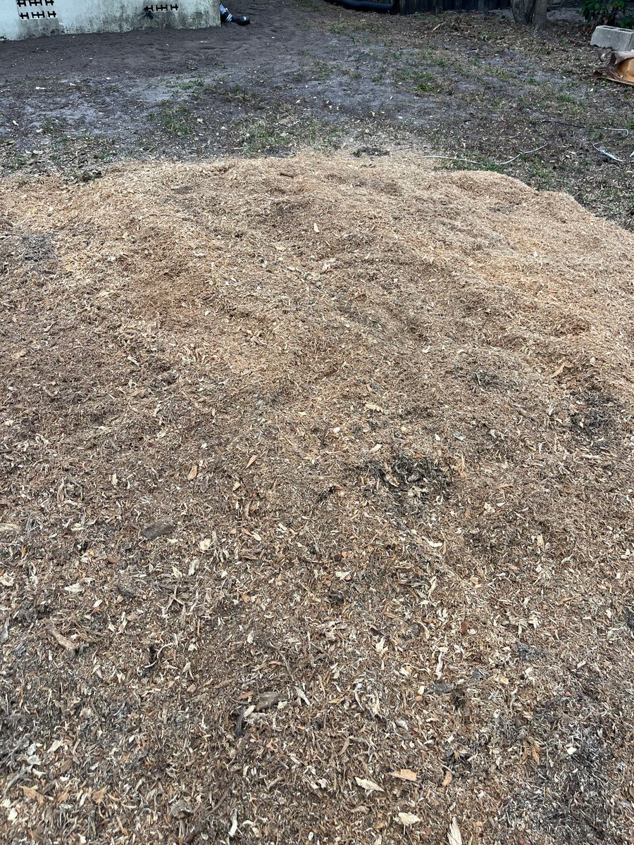 Stump Grinding for KB’s Stump Removal in Seminole, FL