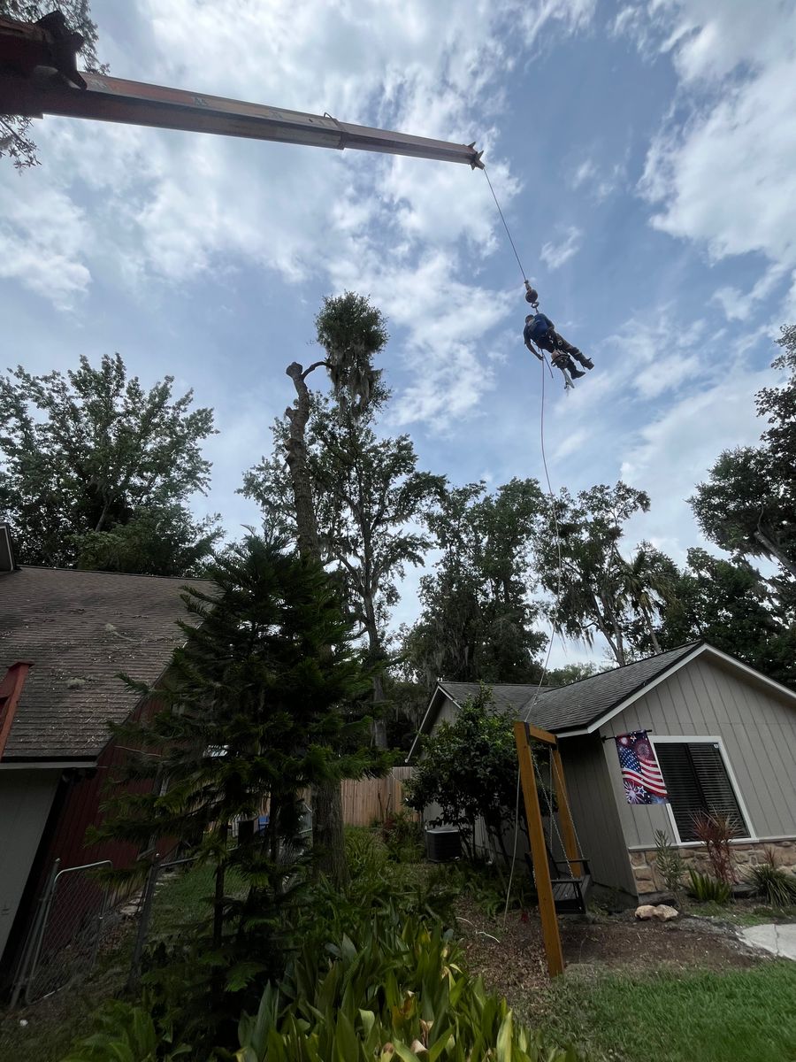Tree Removal for Top Notch Tree Experts in Orange Park, FL