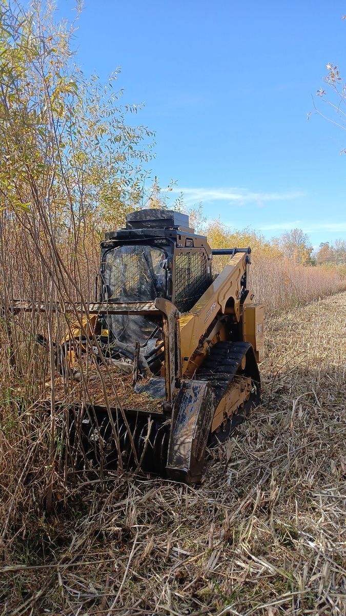Landscaping for Willing Trucking & Excavating in Evansville, WI