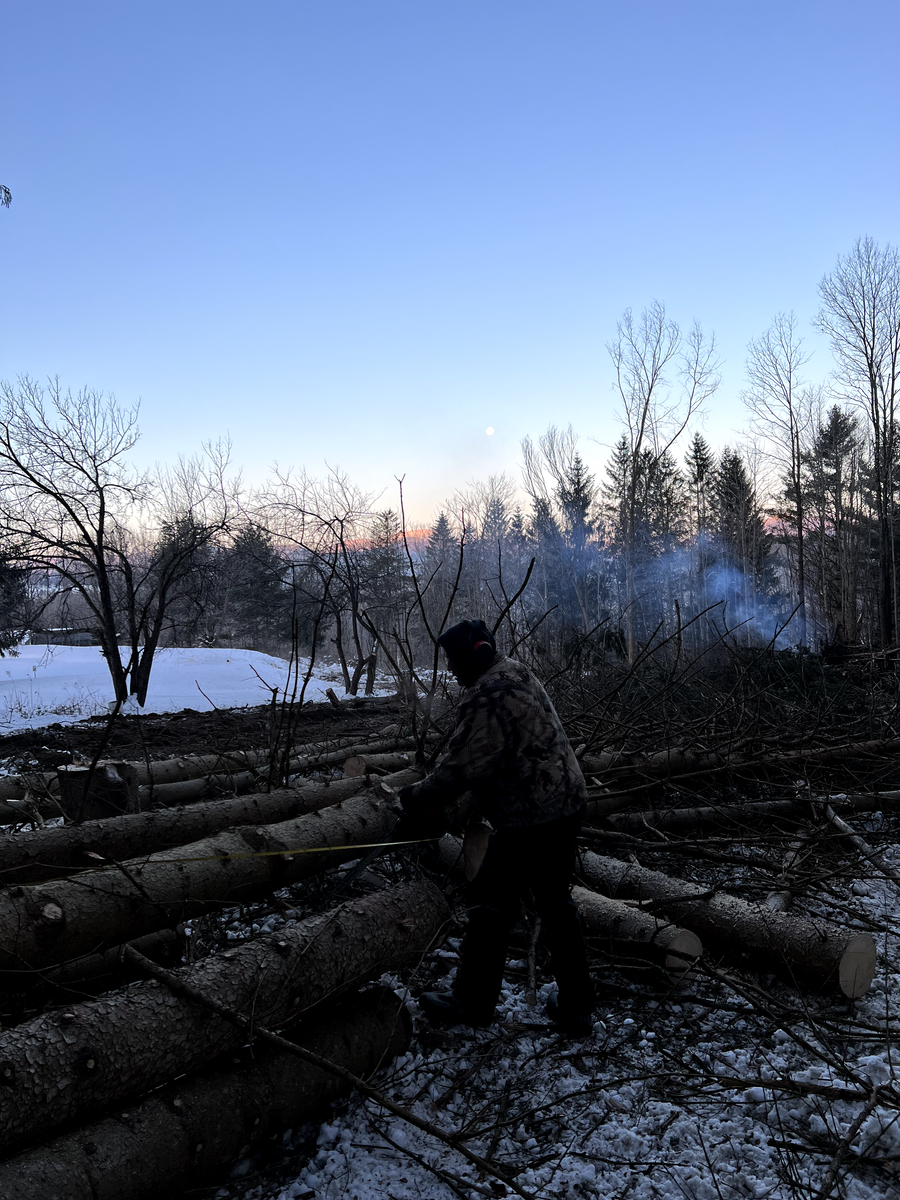 Dangerous Tree Removal for Andy Naylor Excavation in Johnson, VT