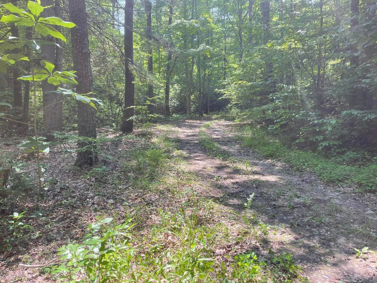 Land Clearing & Demolition for Fav5 Hauling & Grading in Mount Airy, NC