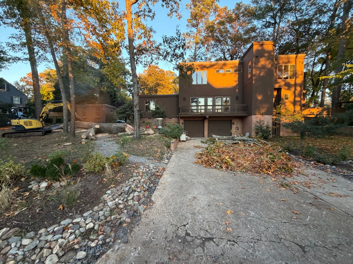 Tree Trimming for Tidewater Tree Service in Chesapeake, VA