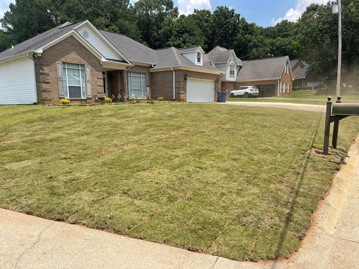 Sod Work for Greenwood Lawn & Landscaping LLC in Talladega, Alabama