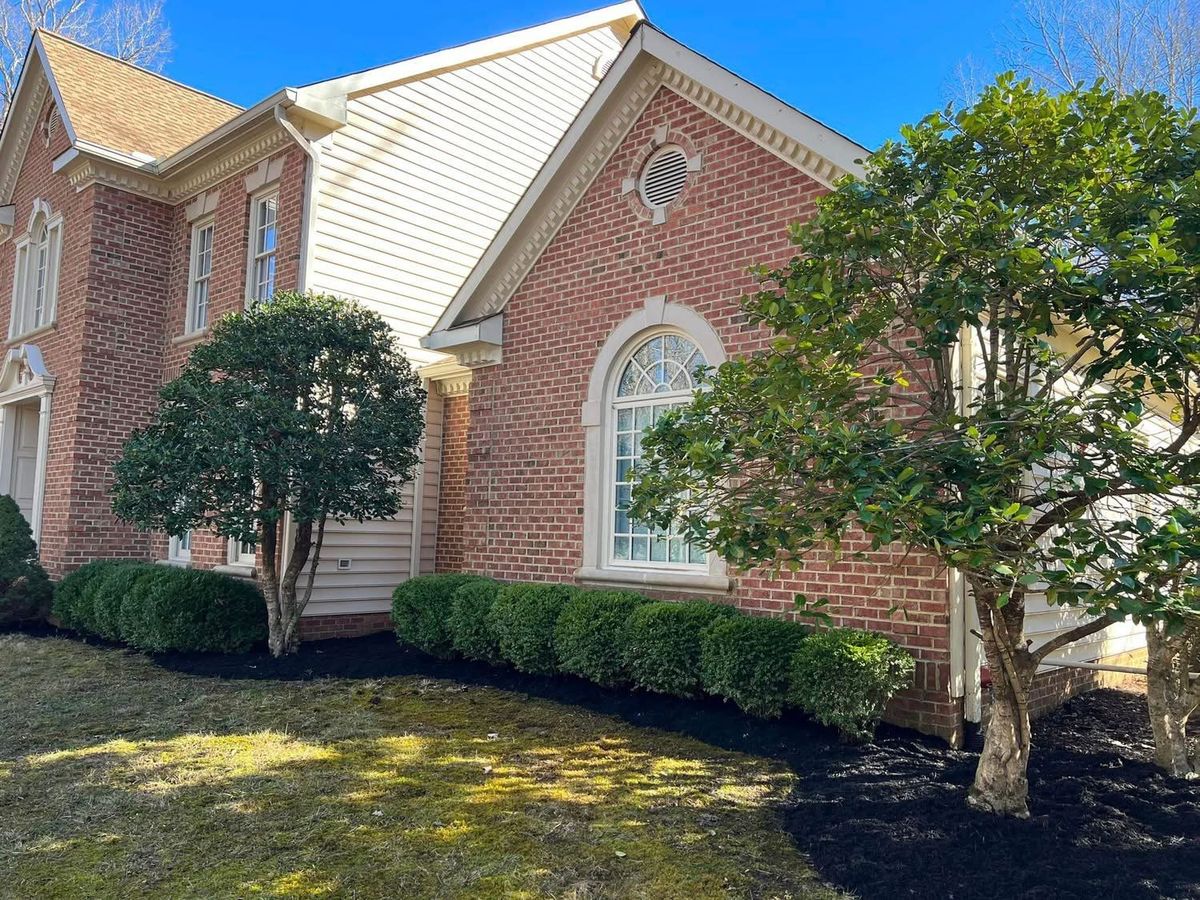 Landscape design for Branch Out Tree Care LLC in Fredericksburg, VA