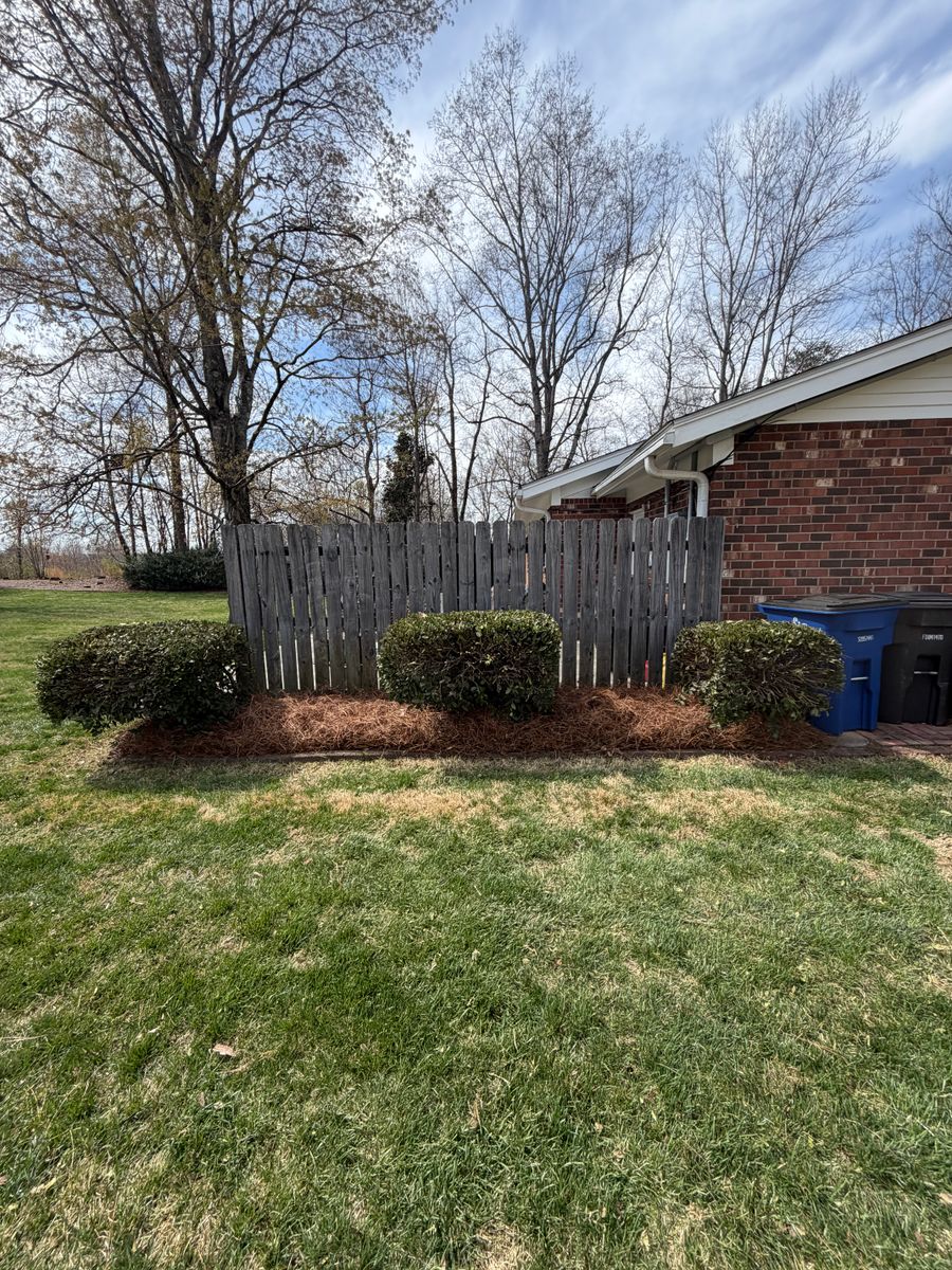 Mulching and pine needling for Holloway Yard Company in Winston-Salem, NC