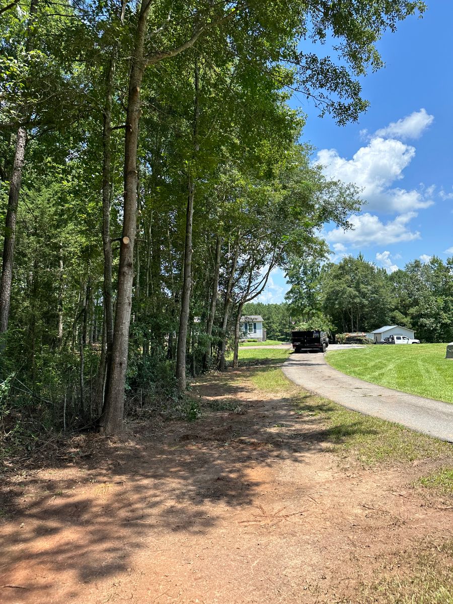 Tree Trimming for ArborMax in Thomaston, GA