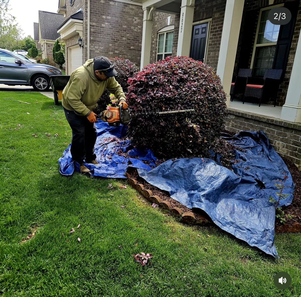 Landscaping for Surprising Odyssey in Gibsonville, NC
