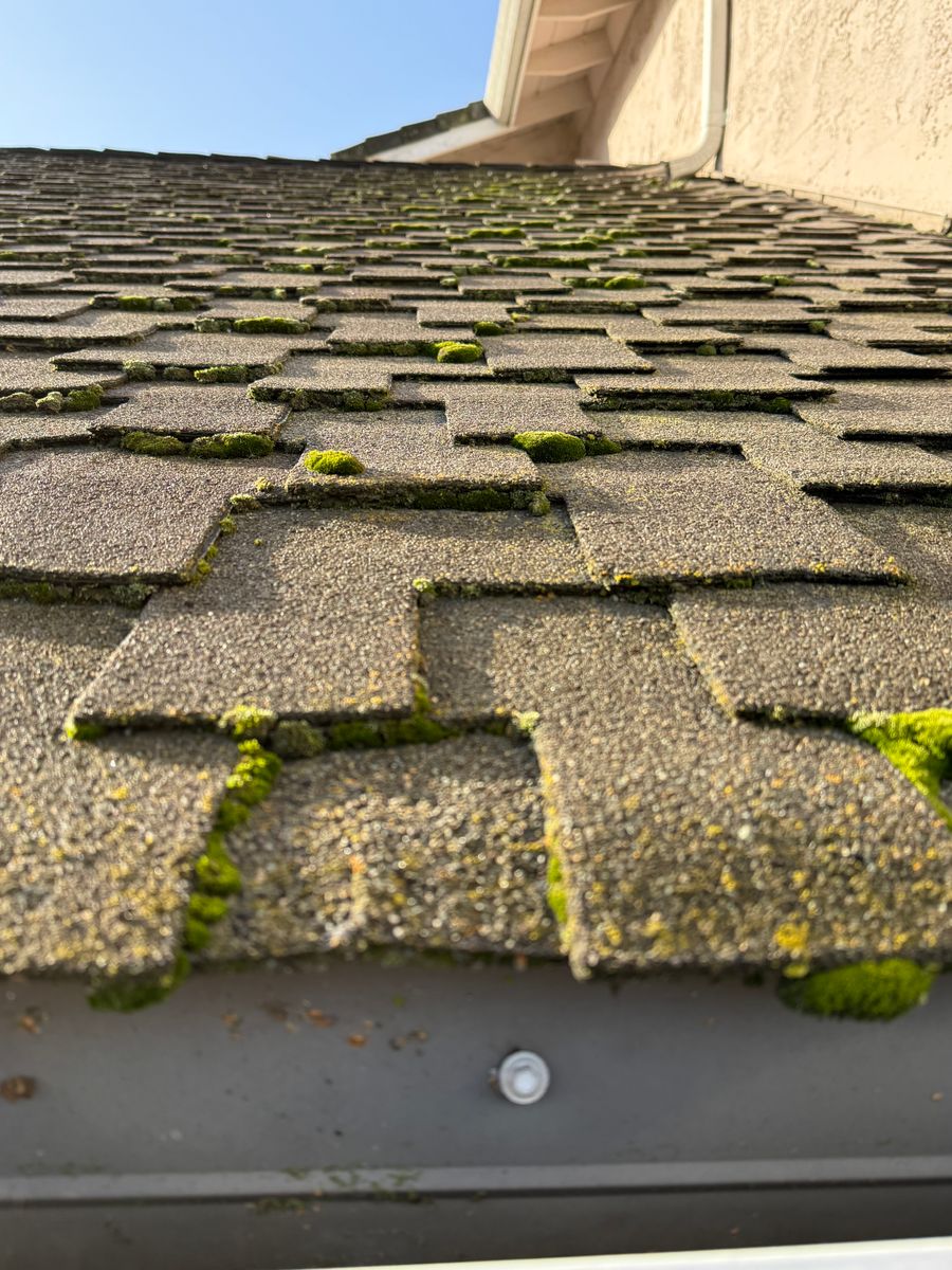 Moss Removal for GGG Home Services in San Jose, CA