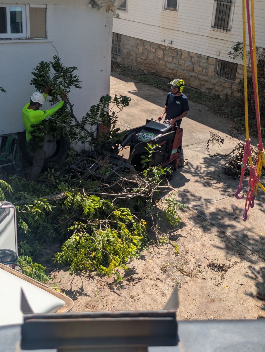 Tree Removal for Mitchell Tree Company in Lathrop, MO