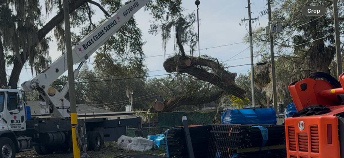 Land Clearing for Amerigrown Tree And Lawn in Apopka, FL