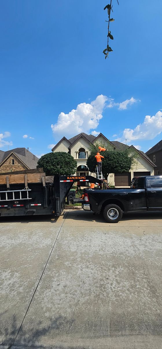 Tree Trimming for Servin's Tree Care  in Houston, TX