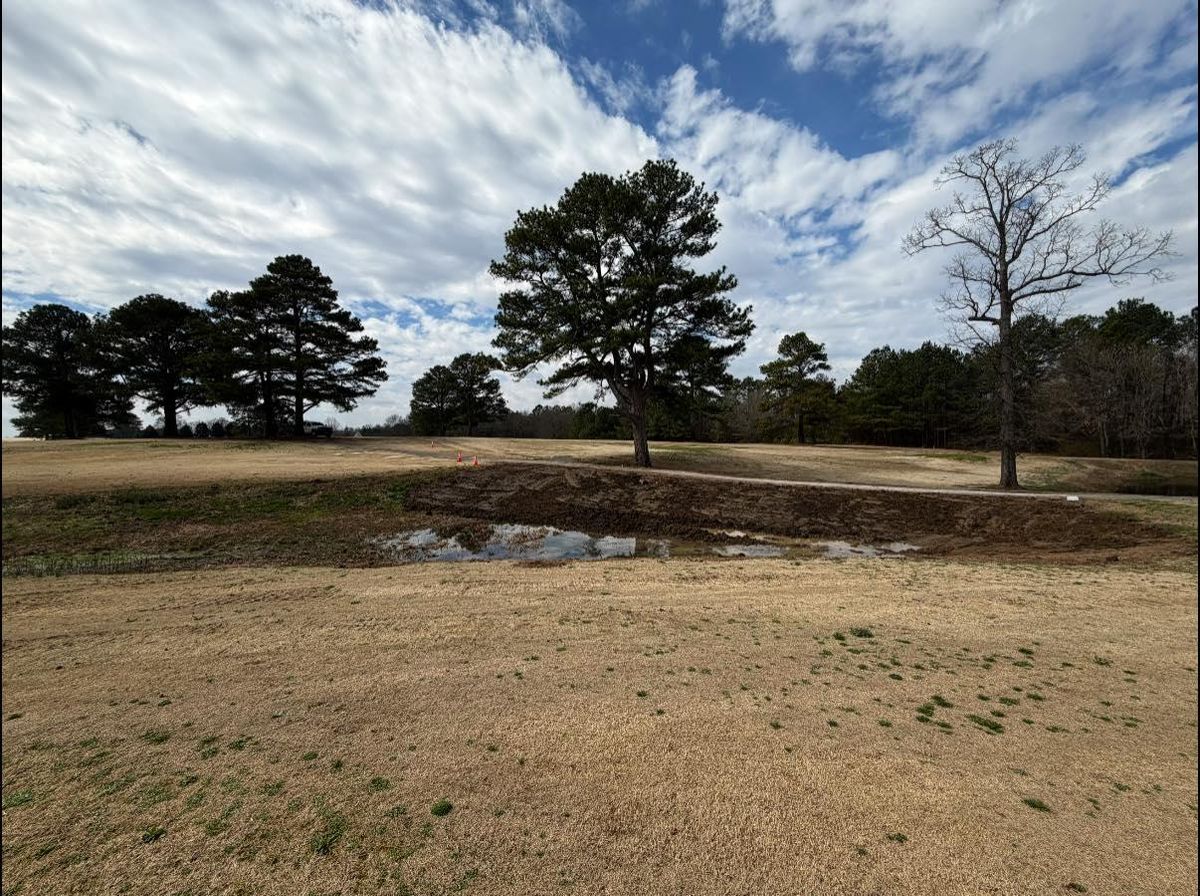 Land Clearing for Collins Constructors in Fyffe, AL