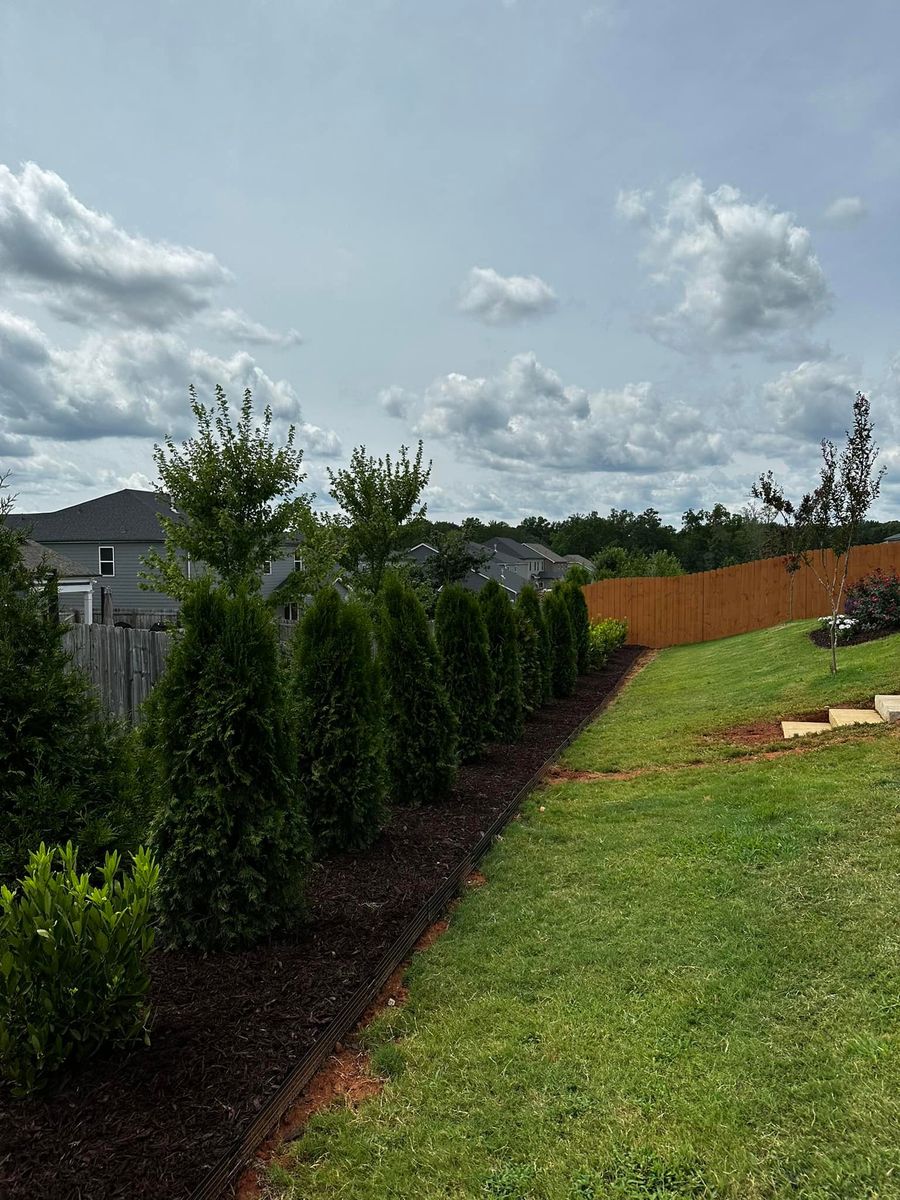 Shrub Trimming for Cody’s Lawn & Landscape in Greer, SC