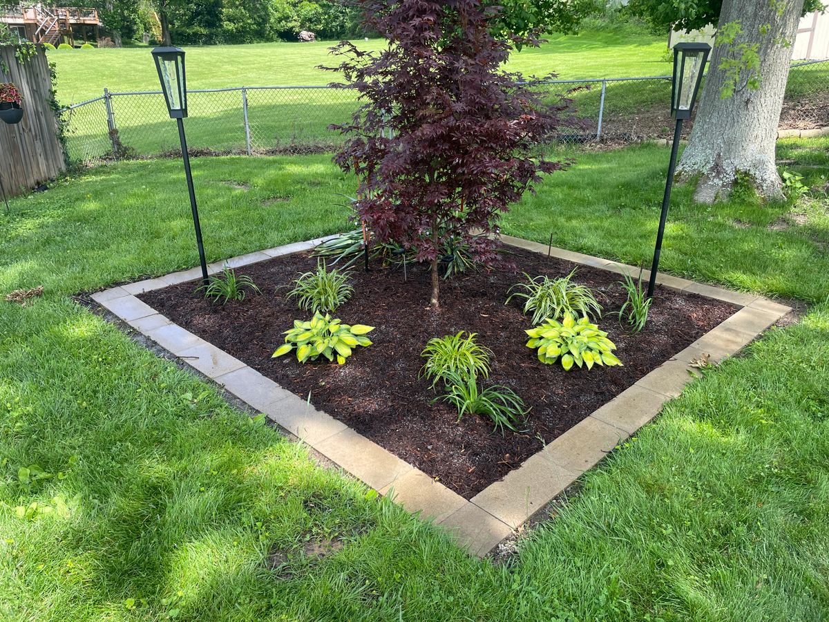 Mulch Installation for Jackson Lawn Services LLC in St Louis, MO