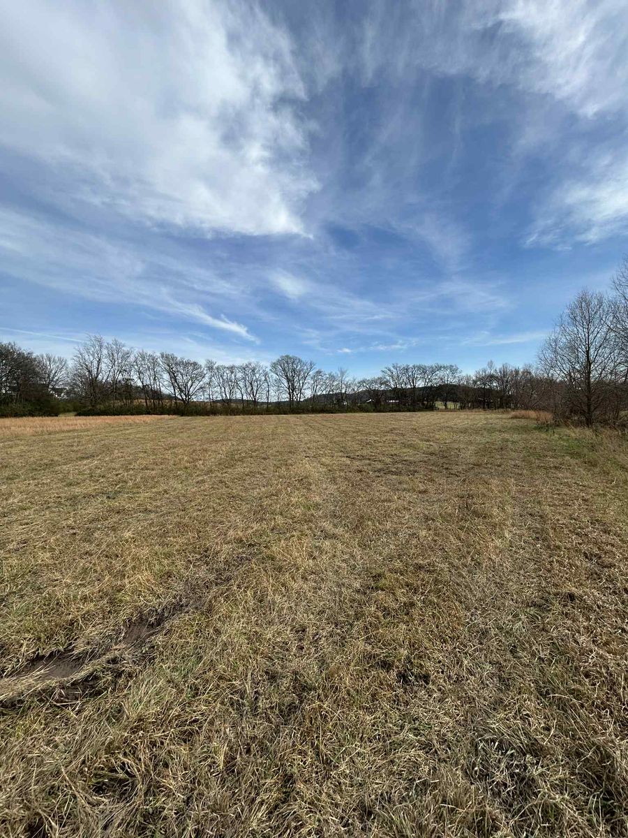 Property management and maintenance for Z's Land Management & Forestry Mulching in Smithville, TN