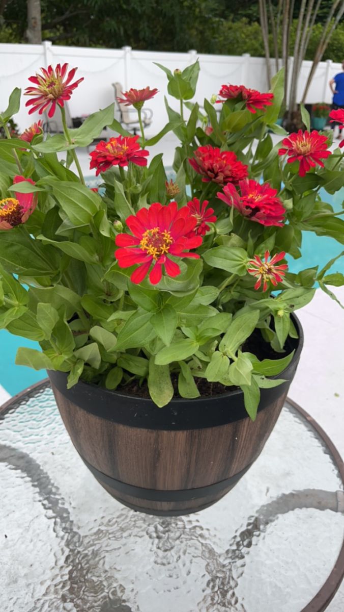 Landscaping & Outdoor Design for Space Coast Property Maintenance and Management LLC in Melbourne, FL