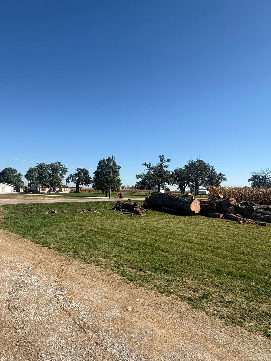 Fall Clean Up for Dig-It Tree Company in Mason, OH