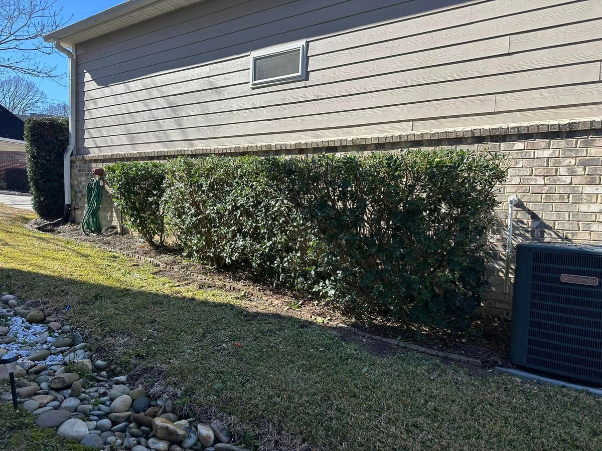 Shrub Trimming for S&D Lawn & Landscape LLC in Gilbert, SC