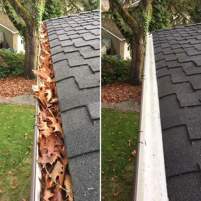 Gutter Cleaning for Healthy Roots Landscaping in Apex, NC