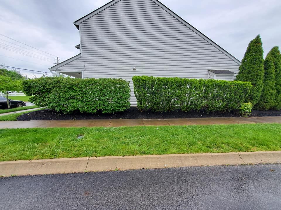 Shrub Trimming for Mr. Prestige Lawn Care Perfectionist in Columbus, OH