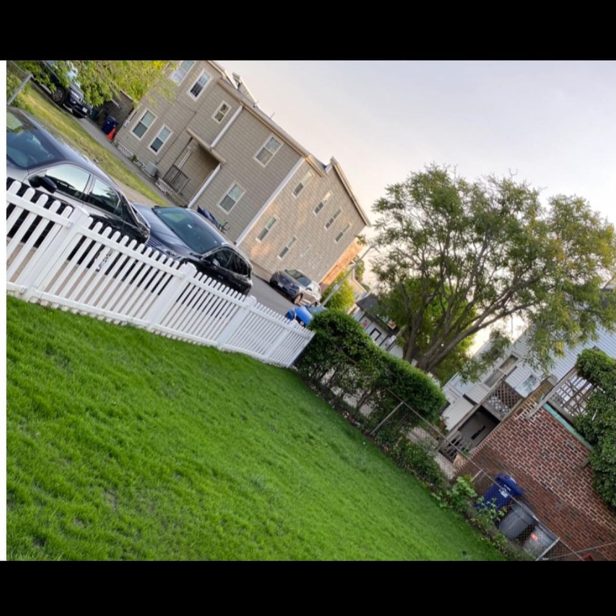 Shrub Trimming for Zammito Landscape Construction in Dorchester, MA