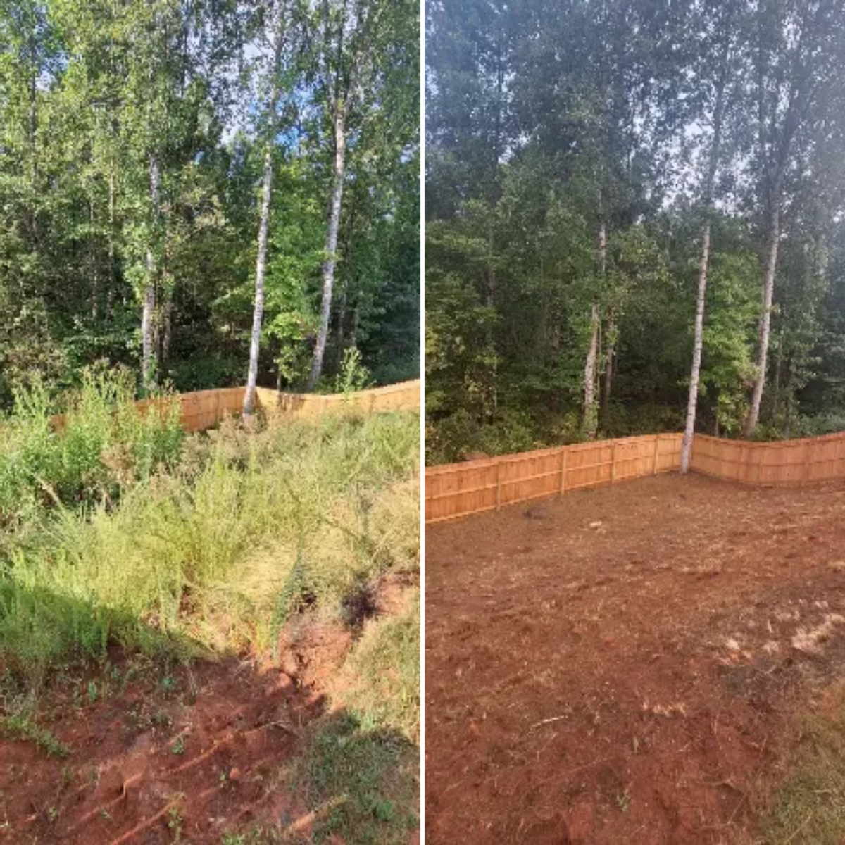 Residential Lawn Care for Olmedo Home Services in Davie County, NC