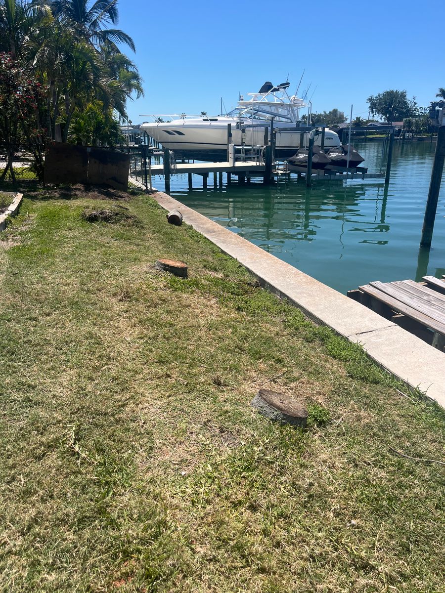 Stump Removal for KB’s Stump Removal in Seminole, FL