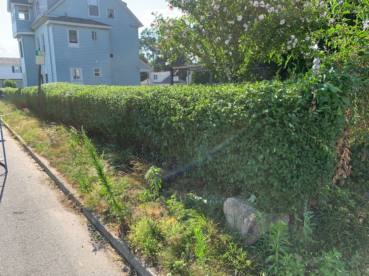 Hedge Trimming for Murray Mowing and More in Ashaway, RI