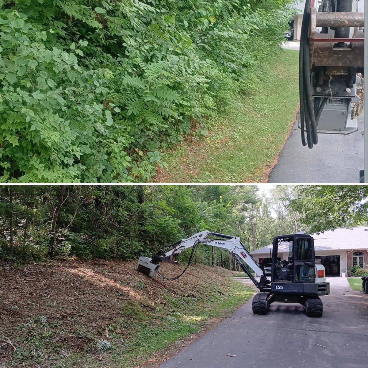 Tree Removal for Willing Trucking & Excavating in Evansville, WI