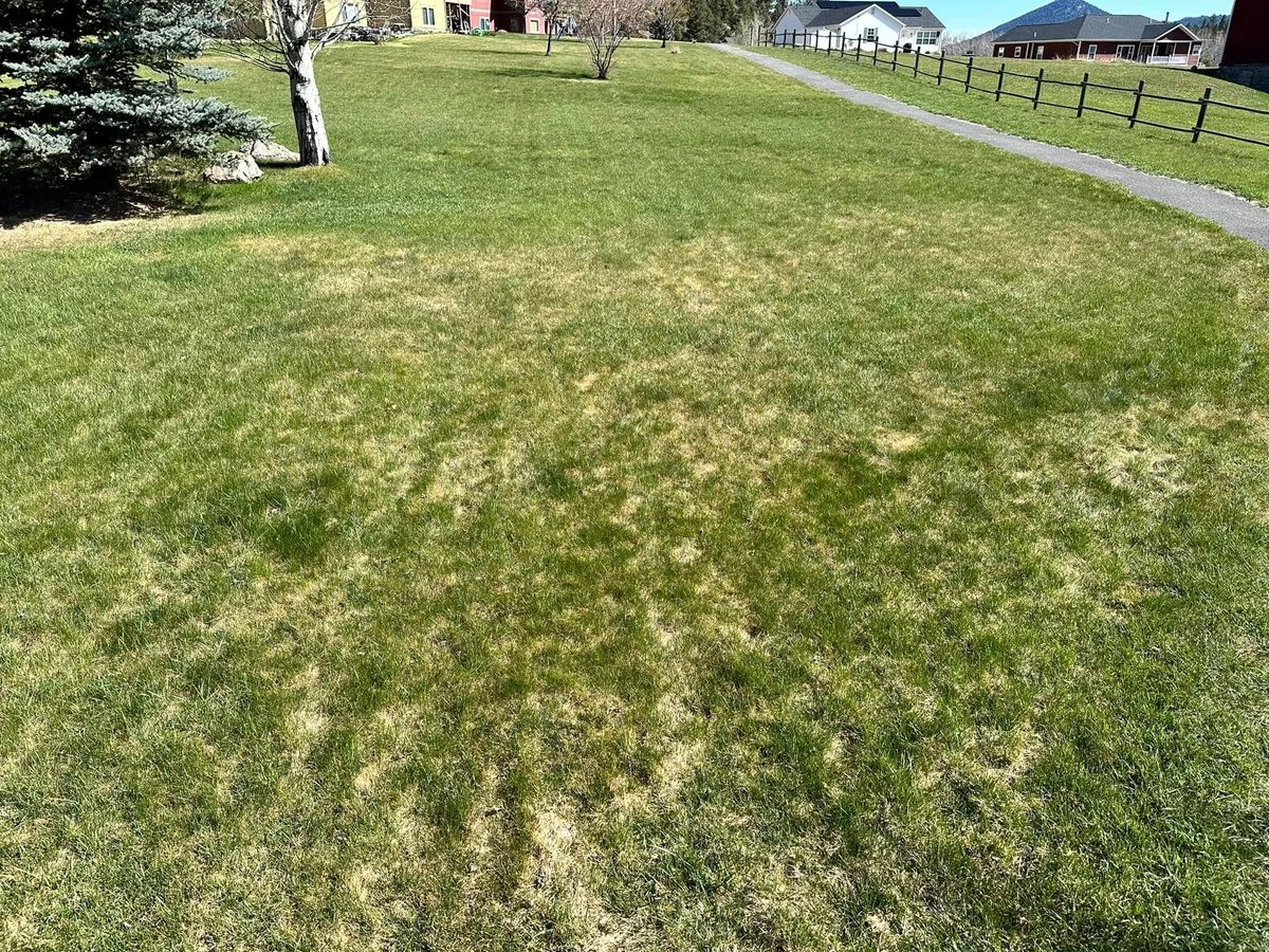 Mowing for Lowry’s Lawn Care LLC in East Helena, MT