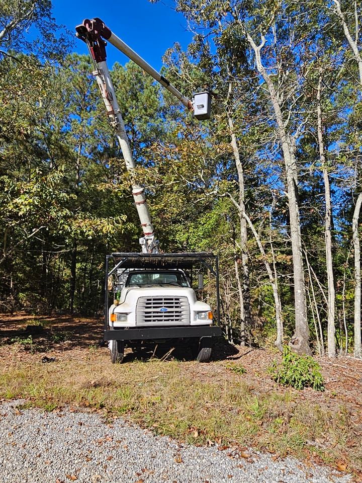 Tree Removal for GSG Services in Comer, GA