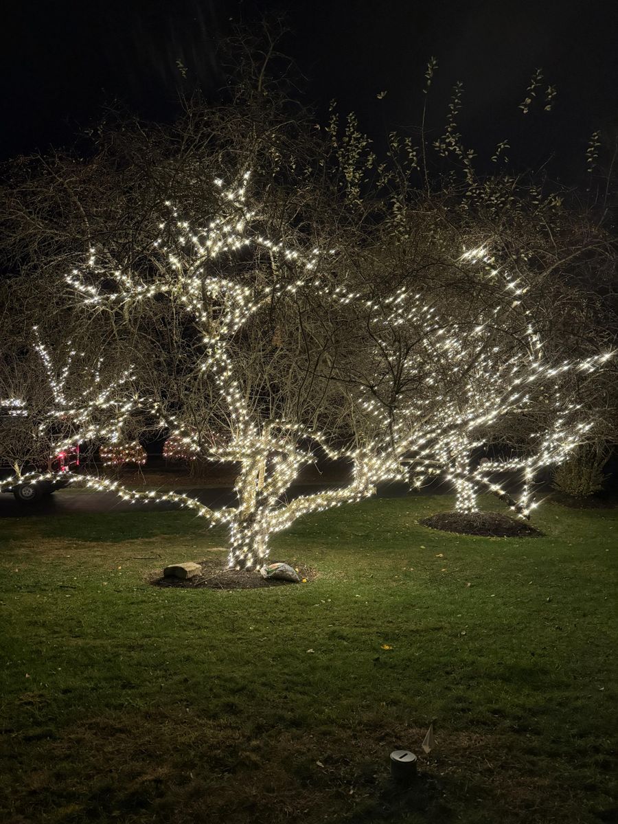 Landscape Lighting for Unique Outdoor Lighting in Short Hills, NJ