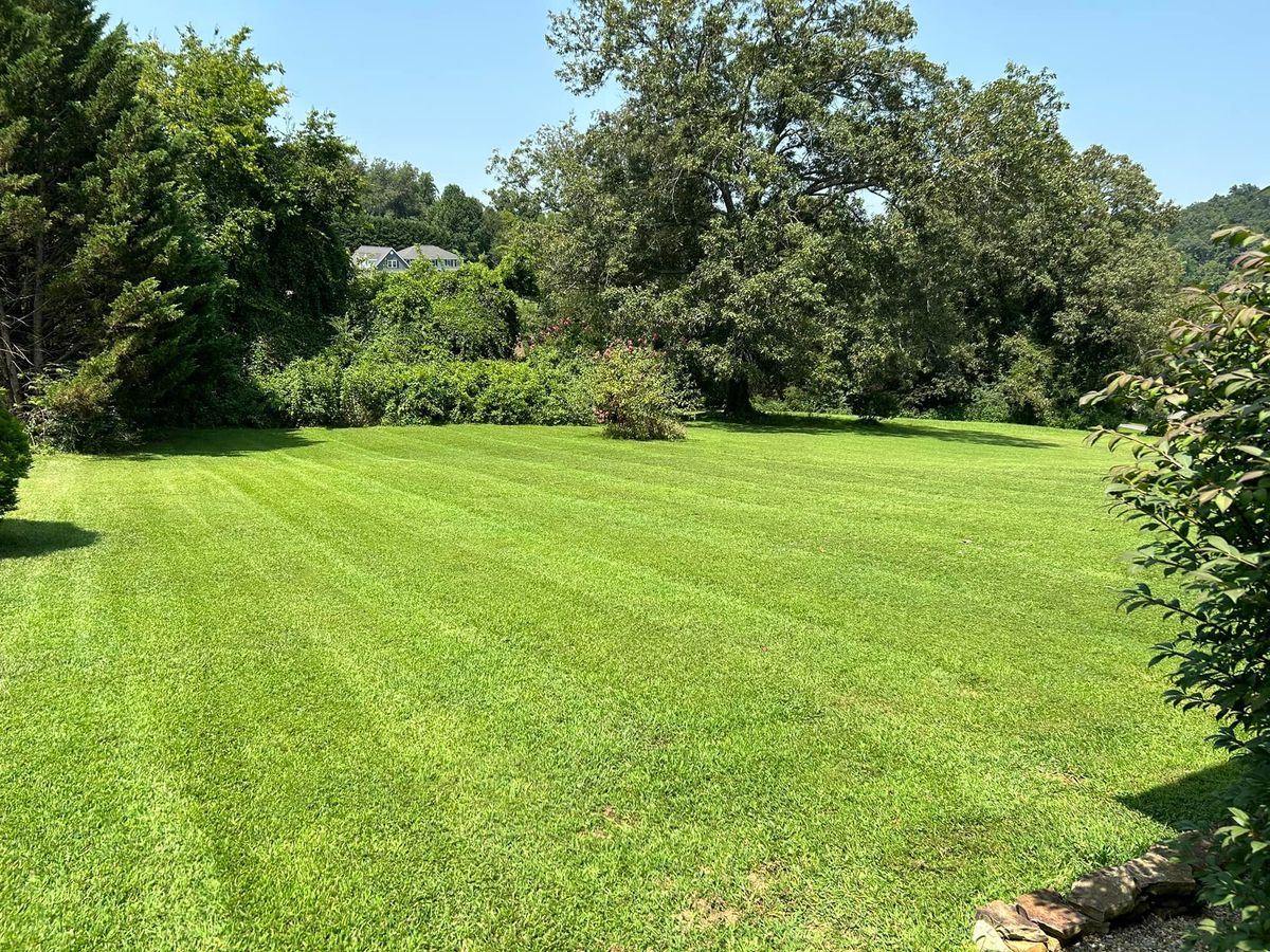 Mowing for TJ’s Landscaping in Knoxville, TN