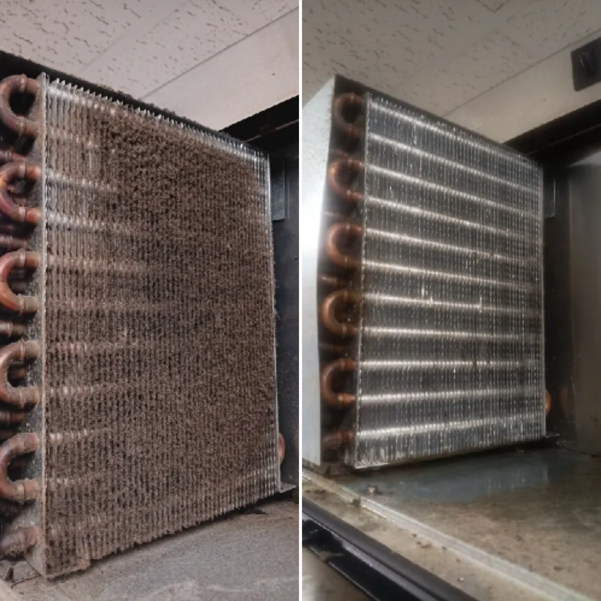 Refrigeration Maintenance and Repair for Heavenly HVAC & Refrigeration Service in Charlotte, NC