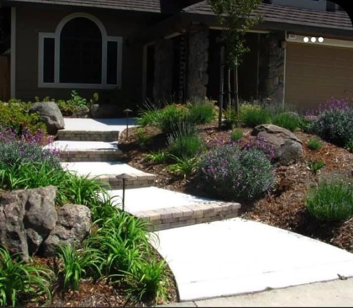 Landscape Services for Meraki Services in Longmont, CO