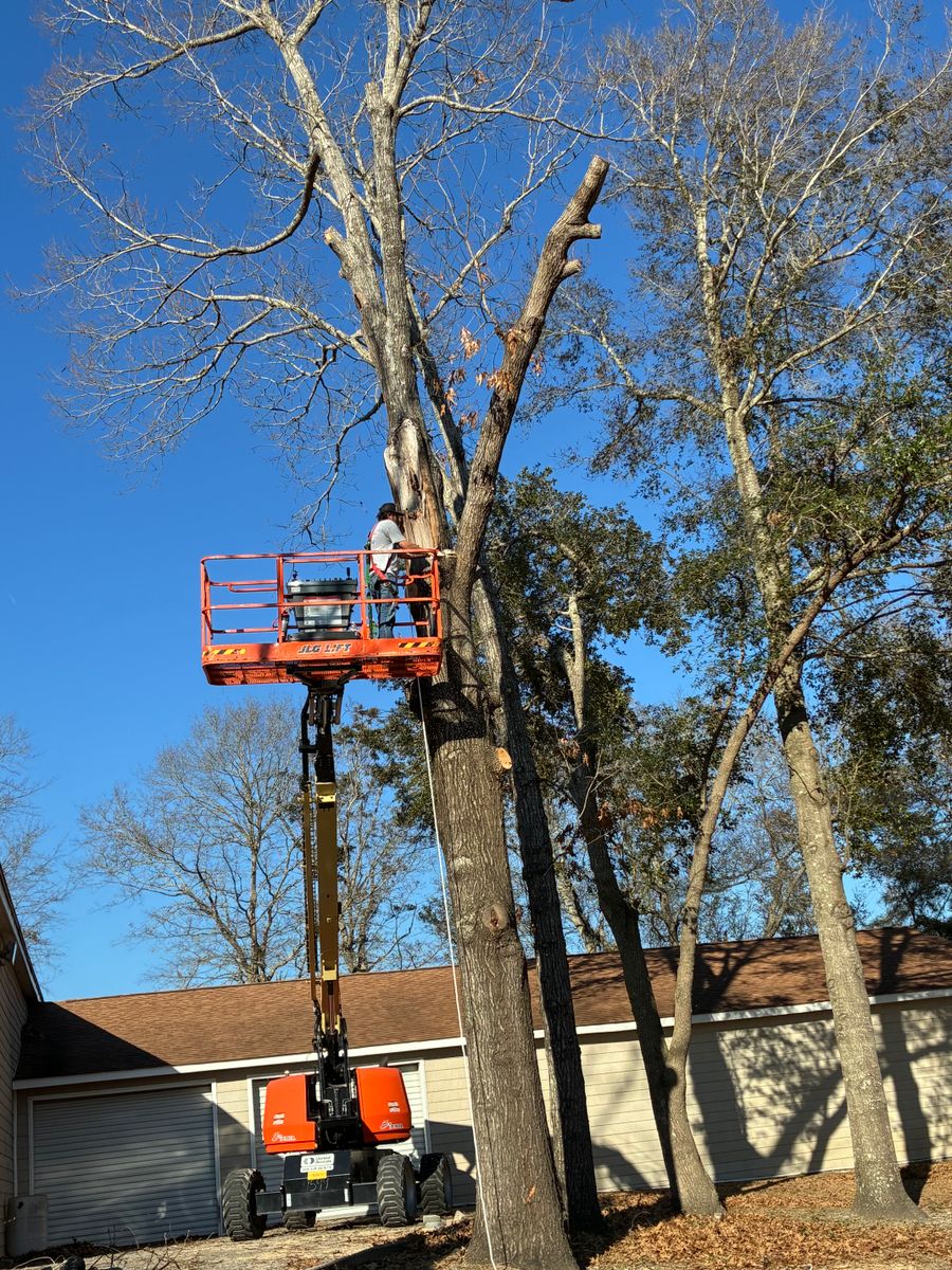 Forestry Mulching/Bush Hogging for Top Notch Landscape in Sneads Ferry, NC